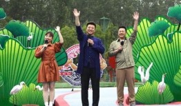 星城直播爆料最新消息视频,最新消息视频深度解析